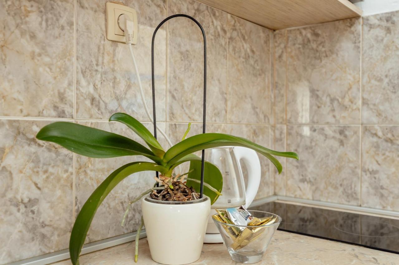 Apartmani Vico Herceg Novi Eksteriør billede