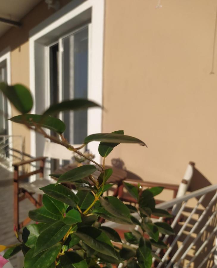 Apartmani Vico Herceg Novi Eksteriør billede